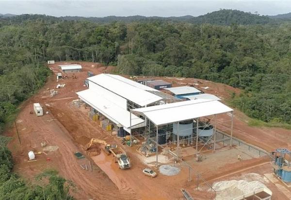 AMG récupère 100% du projet aurifère Dorlin en Guyane française