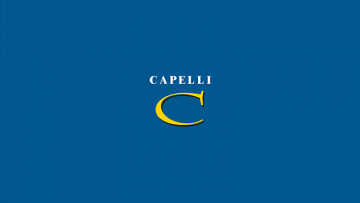 Capelli livre une résidence à Dammarie-lès-Lys