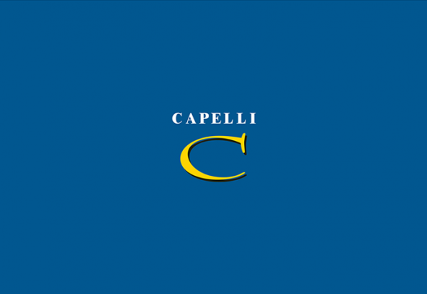 Capelli livre une résidence à Dammarie-lès-Lys