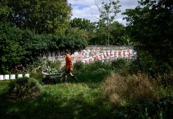 Un homme travaille dans le potager collectif du "Quartier libre des Lentillères", une ZAD urbaine à Dijon, le 3 août 2025 en Côte d'Or