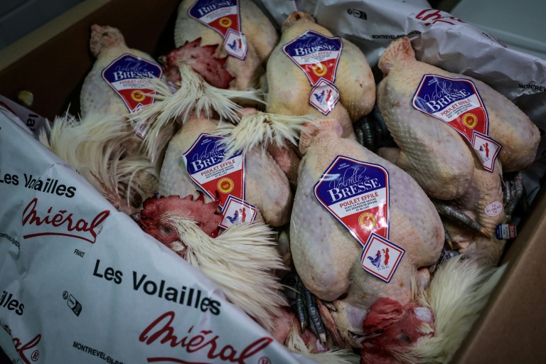 Des poulets de Bresse au Marché international de Rungis, à Rungis dans le Val-de-Marne au sud de Paris, le 10 décembre 2025