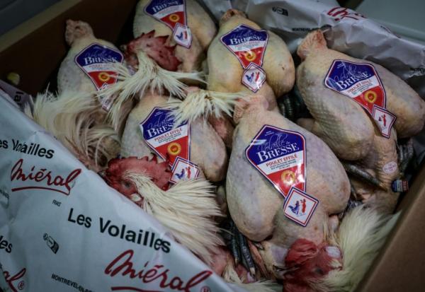 Des poulets de Bresse au Marché international de Rungis, à Rungis dans le Val-de-Marne au sud de Paris, le 10 décembre 2025