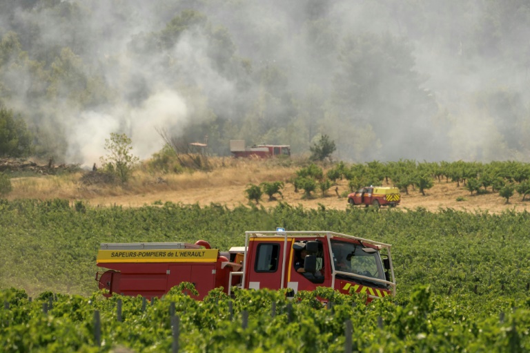 Des véhicules de pompiers près d'une zone forestière en feu à Saint-Laurent-de-la-Cabrerisse, dans l'Aude, le 7 août 2025