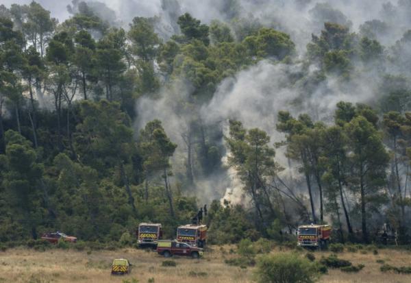 Des véhicules de pompiers près d'une zone forestière en feu à Saint-Laurent-de-la-Cabrerisse, dans l'Aude, le 7 août 2025