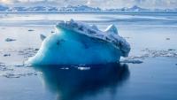L’Antarctique semble soumis à une série de changements "abrupts" qui se renforcent mutuellement, aux conséquences potentiellement catastrophiques pour le monde entier, alertent des chercheurs 