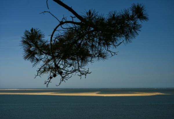 Le banc d'Arguin, îlot "mouvant" de sable près d'Arcachon, en Gironde, le 20 avril 2026