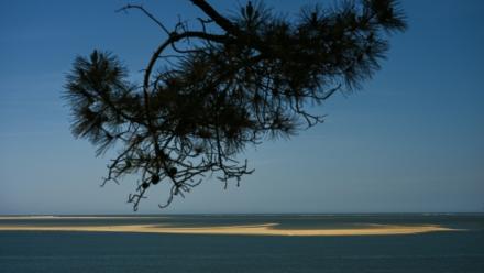Le banc d'Arguin, îlot "mouvant" de sable près d'Arcachon, en Gironde, le 20 avril 2026