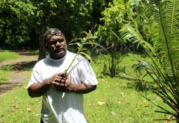 Le chef coutumier Bill Tavue tient une feuille de namele, le 1er février 2026 dans son village de Matantas, dans la zone protégée de Vatthe, sur l'île d'Espiritu Santo, au Vanuatu