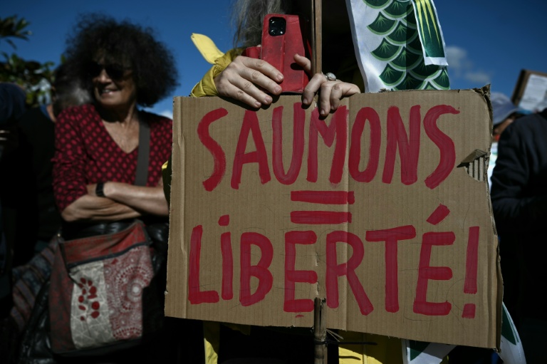 Manifestation contre le projet d’élevage industriel de saumons en milieu terrestre, le 18 octobre 2026 au Verdon-sur-Mer, en Gironde