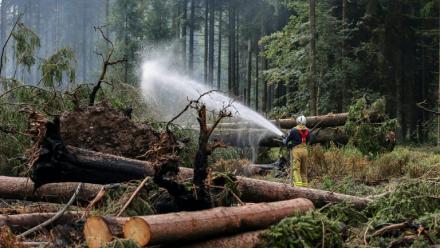 Un pompier arrose le sol pour l'humidifier lors des opérations visant à contenir un incendie de forêt dans la réserve naturelle des Hautes Fagnes, le 20 août 2026 en Belgique