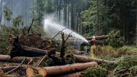 Un pompier asperge le sol d'eau le sol pour l'humidifier lors des opérations visant à contenir un incendie de forêt dans la réserve naturelle des Hautes Fagnes le 20 août 2026