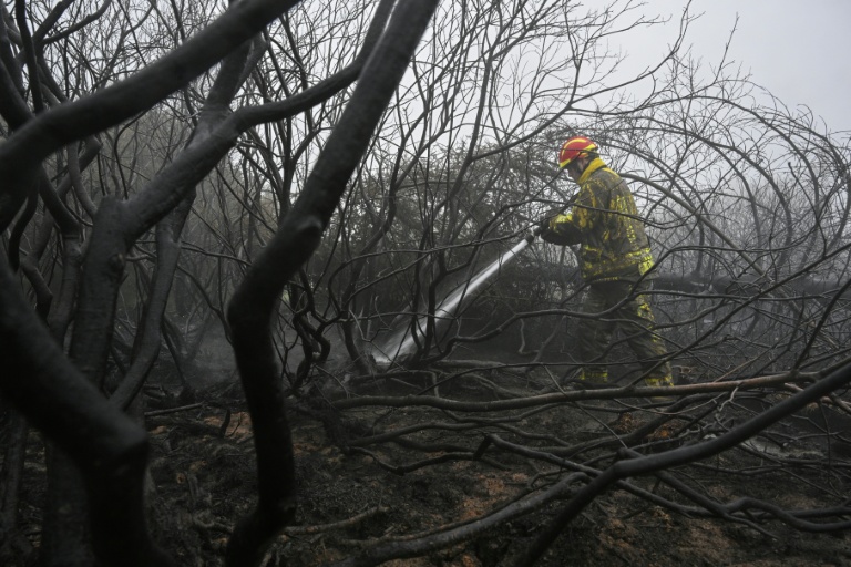 Un pompier arrose le sol et la végétation calcinés lors d'une intervention contre un feu de forêt dans la réserve naturelle des Hautes Fagnes, près de Waimes, dans l'est de la Belgique, le 18 août 2026