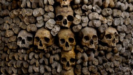 Des crânes et des ossements humains alignés contre un mur des catacombes de Paris, le 24 mars 2026