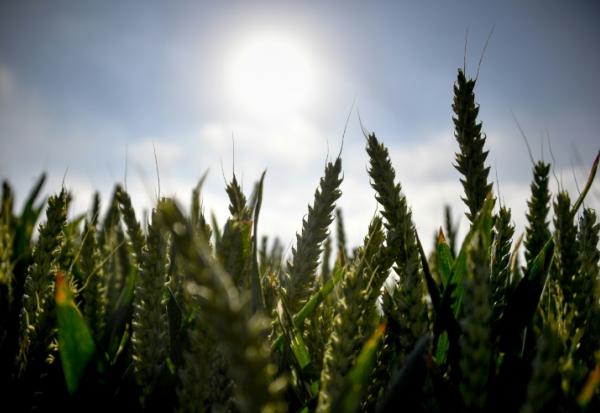 La France est devant "un mur d'investissements" en matière d'adaptation au changement climatique, selon la ministre française de la Transition écologique