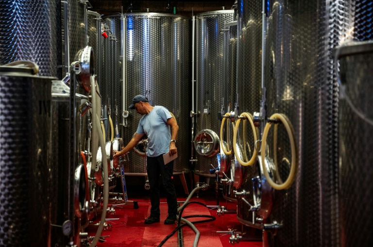 Un employé du domaine viticole Lindicke devant des cuves à Werder, dans le nord de l'Allemagne, le 9 septembre 2025 