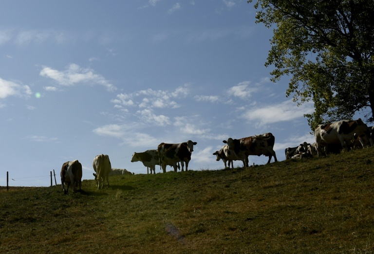 Le ministère avait mis en avant des mouvements
