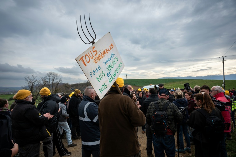 Le 10 décembre 2025, des agriculteurs manifestent contre l'abattage d'un troupeau de 200 vaches suite à la détection d'un cas de dermatose à Les-Bordes-sur-Arize