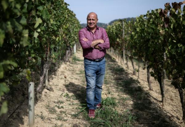 Filippo Mobrici, président du Consorzio Barbera d'Asti, le 21 septembre 2026 dans un vignoble près de la ville italienne d'Asti