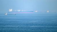 Des cargos au large du terminal à conteneurs du port de Khor Fakkan, le long du golfe d'Oman, le 19 juin 2026 aux Emirats arabes unis