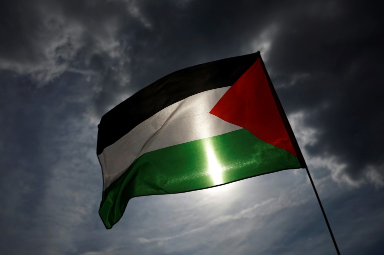Le drapeau palestinien lors d'une manifestation à Paris, le 8 juin 2025