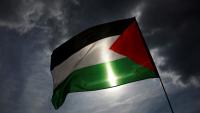 Le drapeau palestinien lors d'une manifestation à Paris, le 8 juin 2025