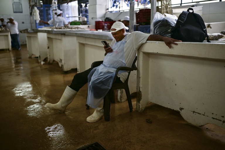 Un vendeur de poisson regarde son téléphone en attendant les clients au marché de fruits de mer de Panama, le 24 septembre 2026