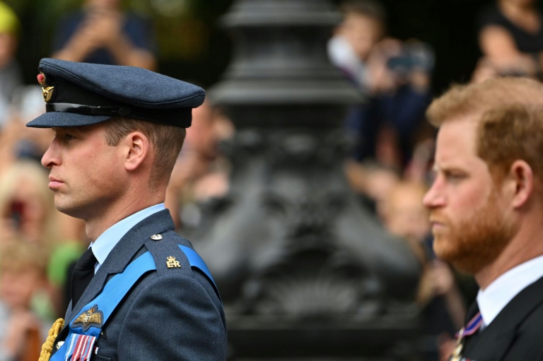Le prince William, prince de Galles (G, et le prince Harry, duc de Sussex, participent au cortège accompagnant le cercueil de la reine Elizabeth II de l'abbaye de Westminster à Londres, le 19 septembre 2022