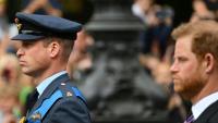 Le prince William, prince de Galles (G, et le prince Harry, duc de Sussex, participent au cortège accompagnant le cercueil de la reine Elizabeth II de l'abbaye de Westminster à Londres, le 19 septembre 2022