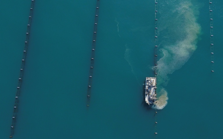 Un navire récolte des moules dans une ferme au large du cap Kaliakra, sur la côte nord bulgare de la mer Noire, 18 août 2025