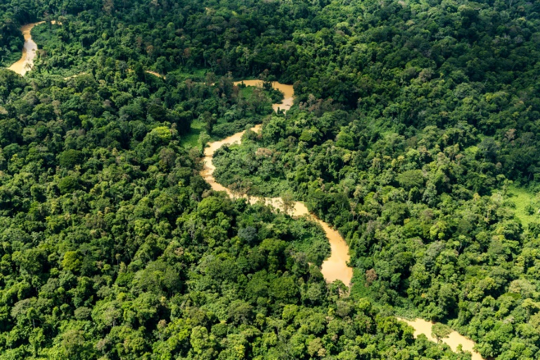 Vue aérienne de la forêt amazonienne, le 12 octobre 2017, en Guyane française