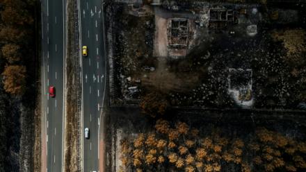 Un paysage de Lanton, en Gironde, après le passage de l'incendie, le 4 août 2026