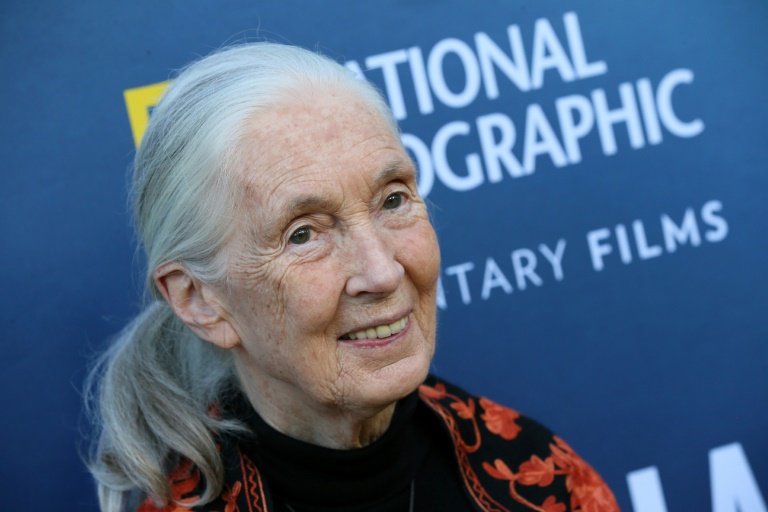 Jane Goodall à Los Angeles le 10 juillet 2019
