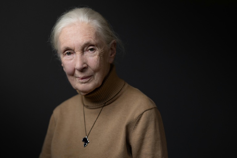 La primatologue Jane Goodall à Paris le 18 octobre 2024