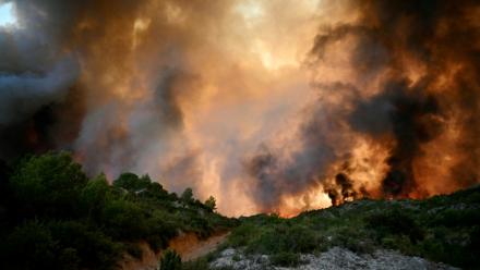 La forêt en feu à Fontjoncouse, dans l'Aude, le 6 août 2025