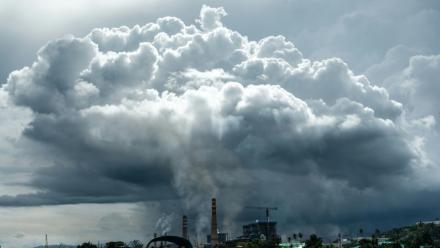 La concession minière de Weda Bay Nickel, critiquée pour ses effets sur la forêt environnante, s'étend sur 45.000 hectares sur l'île de Halmahera aux Moluques (est).