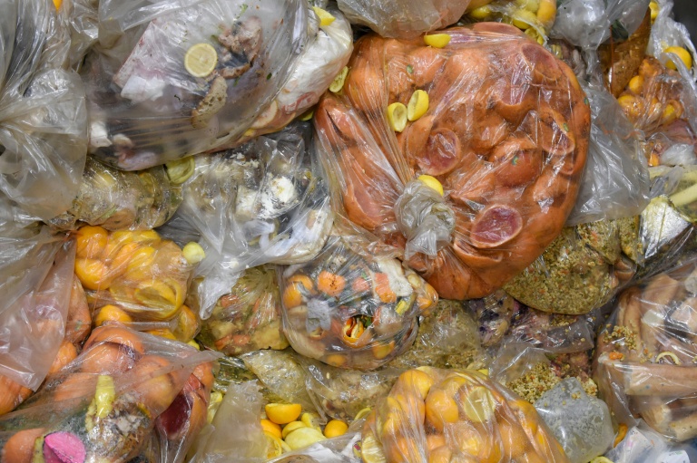 Des déchets alimentaires dans une usine de transformation en compost et biogaz, le 19 novembre 2021 à Stains, au nord de Paris