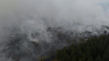 Vue aérienne de l'incendie ravageant l'est de la Belgique, le 15 août 2026