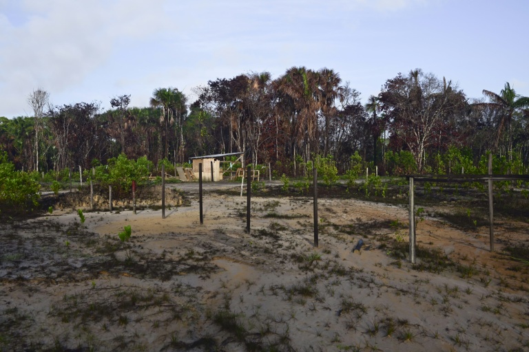 Des terres touchées par des incendies de forêt dans la région amazonienne de l'archipel de Marajo, dans l'Etat du Pará, au Brésil, le 9 décembre 2024