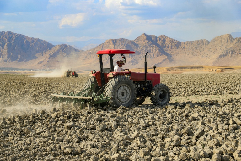 Un agriculteur dans un champ touché par la sécheresse, le 4 juin 2025 dans la région du Kurdistan irakien