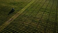 Les riverains des vignes sont plus imprégnés que les autres Français, démontre une étude nationale inédite, dévoilée lundi par deux agences sanitaires