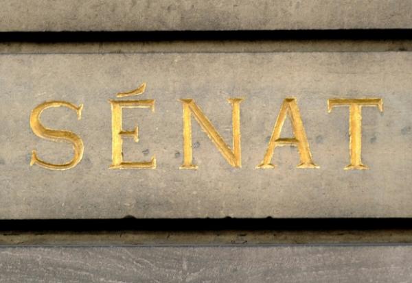 Une idéologie haineuse vis-à-vis des femmes, prônant la suprématie des hommes: un rapport sénatorial appelle mercredi à combattre le "poison" du masculinisme qui se diffuse de manière insidieuse dans la société, notamment via les réseaux sociaux