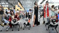 Des chiens-robots de l'entreprise Vbot présentés au Salon mondial des robots à Pékin, le 19 août 2026