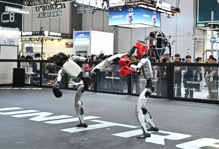 Deux robots de l'entreprise Unitree font une démonstration de combat au Salon mondial des robots de Pékin, le 19 août 2026
