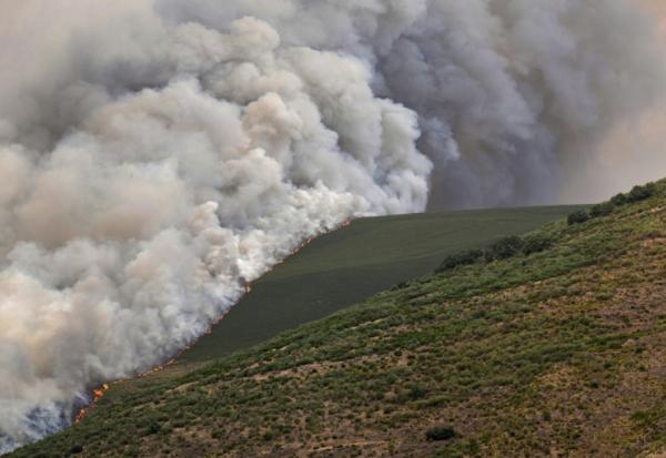 Un incendie de forêt à Castrillo de Cabrera, dans le nord-ouest de l'Espagne, le 16 août 2025