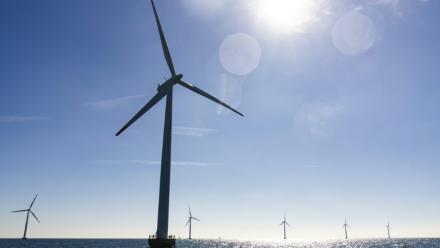 Des éoliennes installées en mer Baltique au Danemark, le 4 septembre 2023