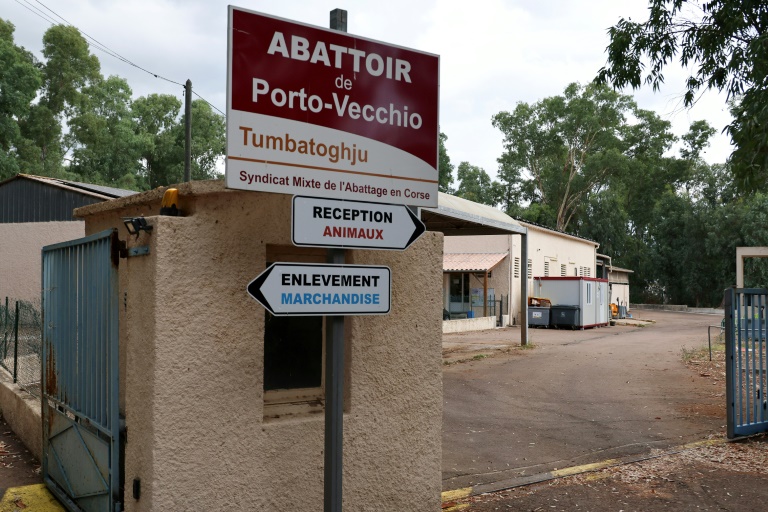 L'abattoir public multi-espèces de Porto-Vecchio en Corse, le 30 juillet 2025