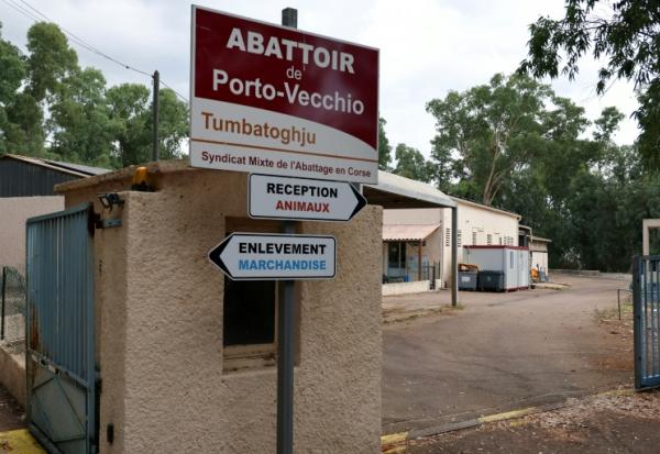 L'abattoir public multi-espèces de Porto-Vecchio en Corse, le 30 juillet 2025