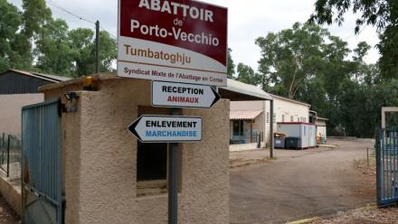 L'abattoir public multi-espèces de Porto-Vecchio en Corse, le 30 juillet 2025