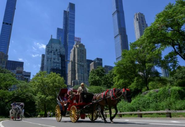 Ees calèches dans Central Park, à New York, le 3 août 2022