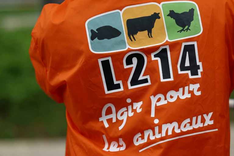 L'association animaliste L214 a annoncé jeudi avoir porté plainte contre un élevage porcin du Morbihan, accusé notamment de 